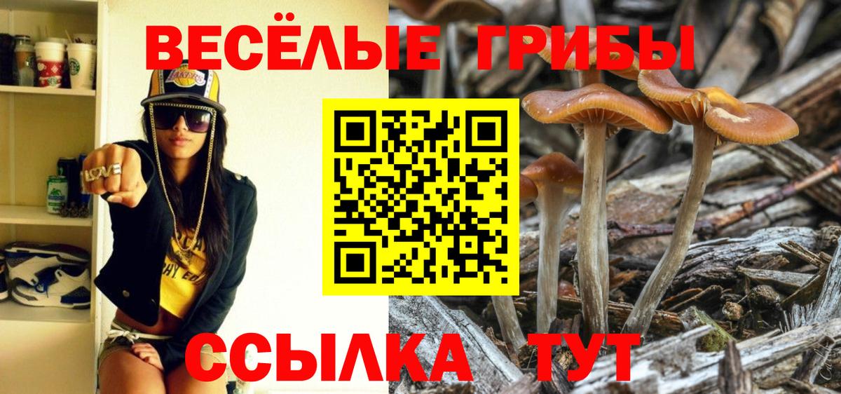 Галлюциногенные грибы GOLDEN TEACHER  Галлюциногенные грибы Cubensis  Истра  Вход с VPN 